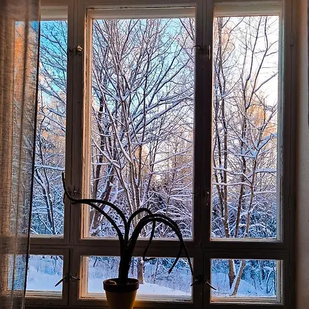 Vanhan Koulun Majatalo-old School 旅馆 *