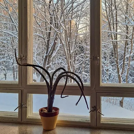 Vanhan Koulun Majatalo-old School Kolinkylä