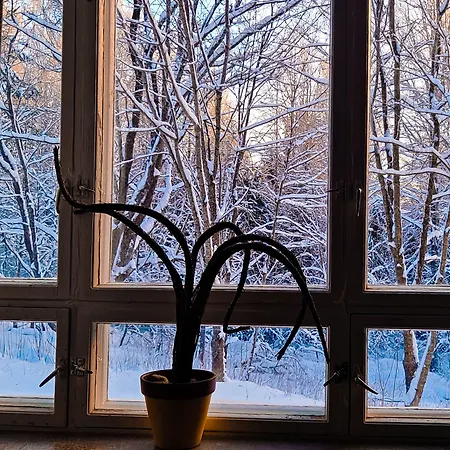 Vanhan Koulun Majatalo-old School *