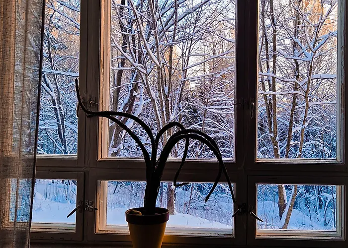 Vanhan Koulun Majatalo-old School *